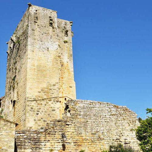 le donjon du château